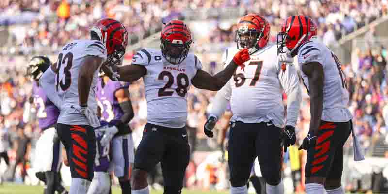 Bengals celebrate